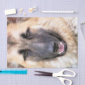 PAPIER MOUSSELINE ALMAN SHEPHERD (Artisanat)