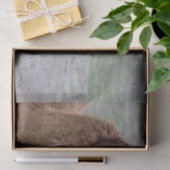 Papier Mousseline Alpaca Mangeant du foin Photo Animal (Cadeau)