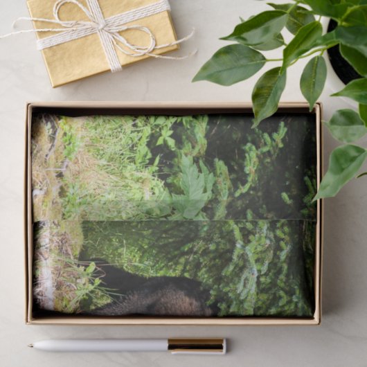 Papier Mousseline Alpha ours noir (Cadeau)