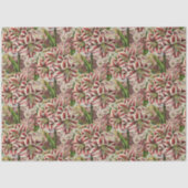 Papier Mousseline Amaryllis Abundance Rouge et Blanc Festif (Recto)