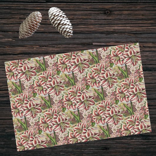 Papier Mousseline Amaryllis Abundance Rouge et Blanc Festif