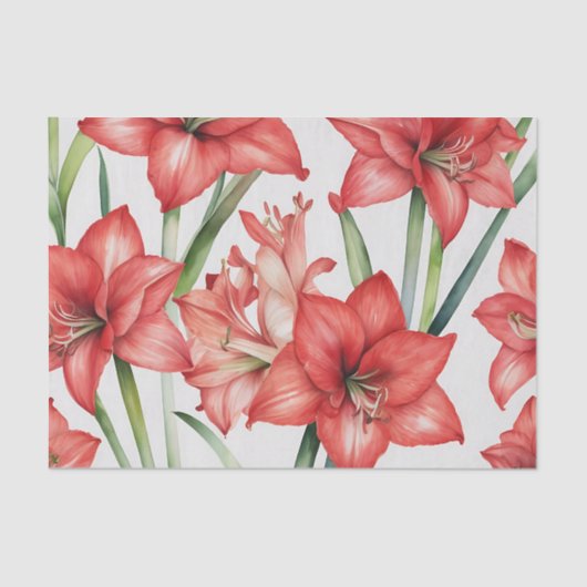 Papier Mousseline Amaryllis Amaryllis Aquarelle en rouge (Recto)