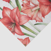 Papier Mousseline Amaryllis Amaryllis Aquarelle en rouge (Détail)