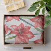 Papier Mousseline Amaryllis Amaryllis Aquarelle en rouge (Cadeau)