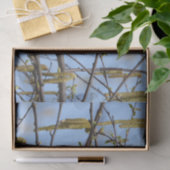 Papier Mousseline American Robin Spring Blossoms Catkins (Cadeau)
