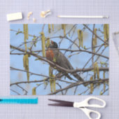 Papier Mousseline American Robin Spring Blossoms Catkins (Artisanat)