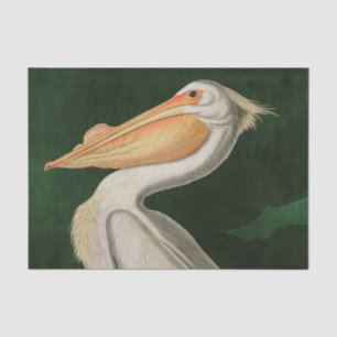 Papier Mousseline American White Pelican Birds of America Audubon