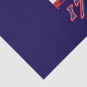 Papier Mousseline Amérique 250 (Détail)