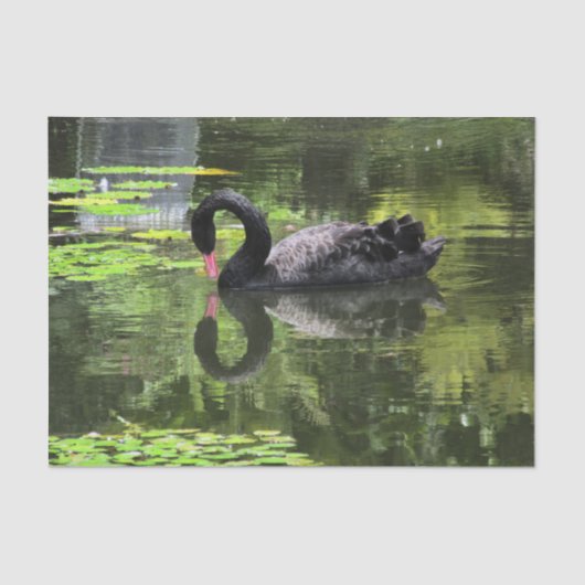 Papier Mousseline Amour de cygne (Recto)