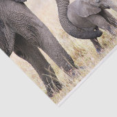 Papier Mousseline Amour maternel (Détail)