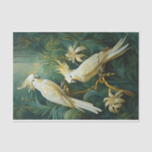 Amoureux de cacatoès, élégance des plumes blanches