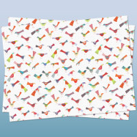 Amusant Rainbow Bird