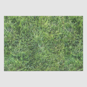 Papier Mousseline Amusante herbe verte vraie texture photo motif pla