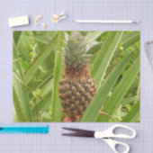 Papier Mousseline Ananas sauvage Fruit tropical dans la nature (Artisanat)