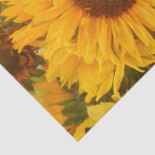 Papier Mousseline Andriola (Détail)