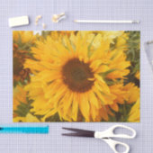 Papier Mousseline Andriola (Artisanat)