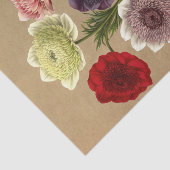 Papier Mousseline Anemone Coronaria Fl. Pl. (Doubles Anémones) (Détail)