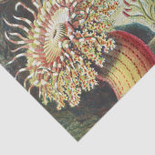 Papier Mousseline Anémone de mer Nature scientifique Océan (Détail)