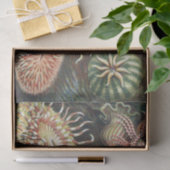 Papier Mousseline Anémone de mer Nature scientifique Océan (Cadeau)