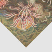 Papier Mousseline Anémones de mer Ernst Haeckel Découpage Tissu (Détail)