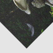 Papier Mousseline Angle de pleur (Détail)