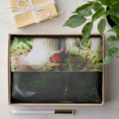 Papier Mousseline Angle de pleur (Cadeau)