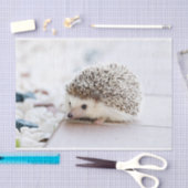 Papier Mousseline Animal mignon de hérisson de bébé (Artisanat)