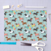 Papier Mousseline Anniversaire de Dachshund (Artisanat)