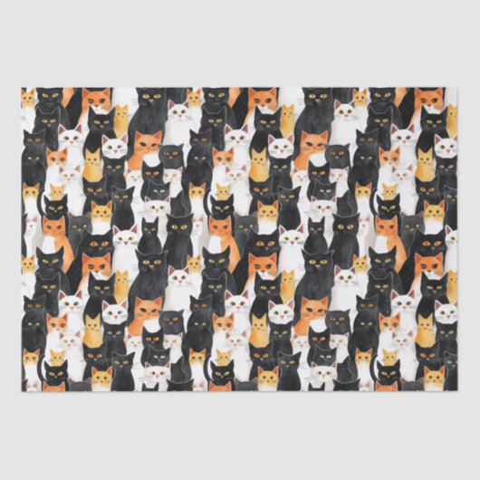 Papier Mousseline Anniversaire des chats noirs blancs orange (Recto)
