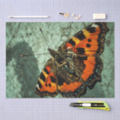 Papier Mousseline Anniversaire du papillon (Artisanat)