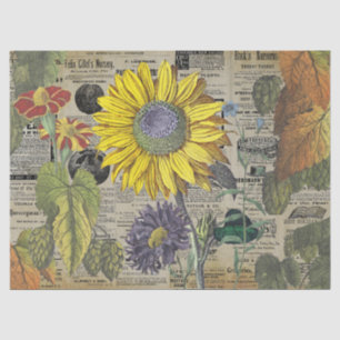 Papier Mousseline Annonces horticoles de tournesol vintage Ephemera