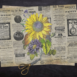 Papier Mousseline Annonces horticoles de tournesol vintage Ephemera