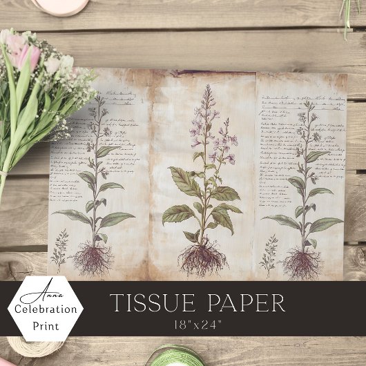 Papier Mousseline Antique Botanical Herbs Decoupage
