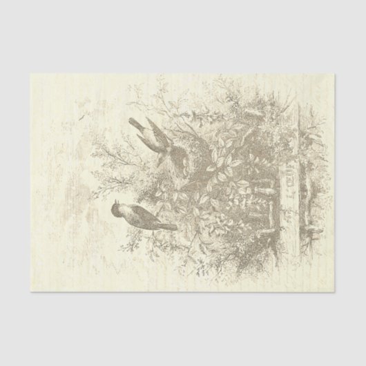 Papier Mousseline Antique Français Vintage Birds Nid Beige (Recto)