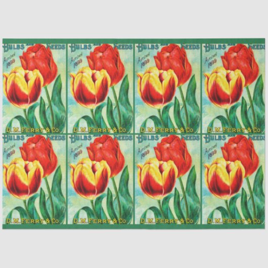 Papier Mousseline Antique Garden Advertisement, Yellow Red Tulips (Recto)