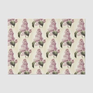 Papier Mousseline Antique Vintage Botanique Violet Lilac Blossom