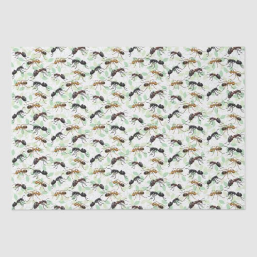 Papier Mousseline Ants Insectes Bugs Déplaisant Crawly Créatures (Recto)