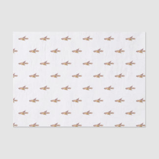 Papier Mousseline aphyosemion bitaeniatum ijebu ode Killifish