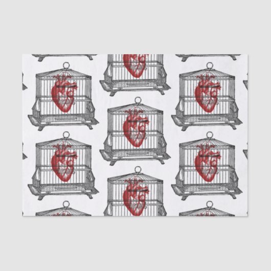 Papier Mousseline Apothécaire (Recto)