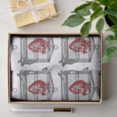 Papier Mousseline Apothécaire (Cadeau)