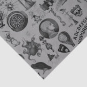 Papier Mousseline Apothécaire (Détail)