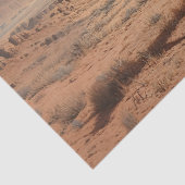 Papier Mousseline Appaloosa Cheval Peint Désert Découpage Pittoresqu (Détail)