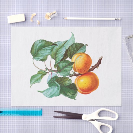 Papier Mousseline Apprentissage sur une branche (Artisanat)