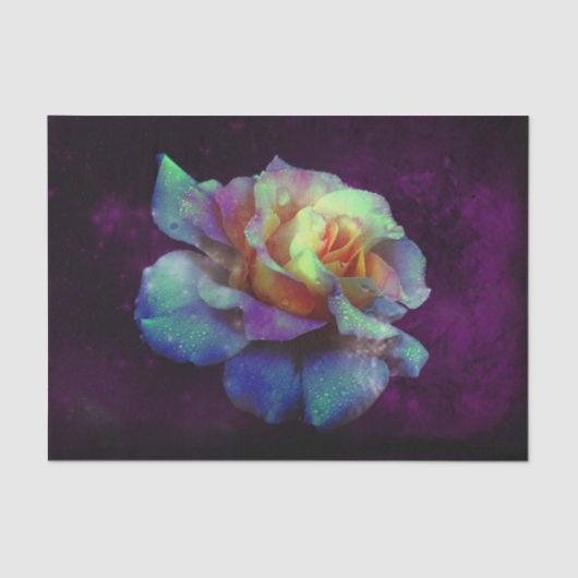 Papier Mousseline Aqua N Rose jaune avec Violet (Recto)