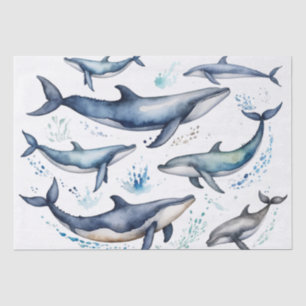 Papier Mousseline Aquarelle Baleines bleues et dauphins, animal mari