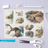 Papier Mousseline Aquarelle Bois Animaux (Artisanat)