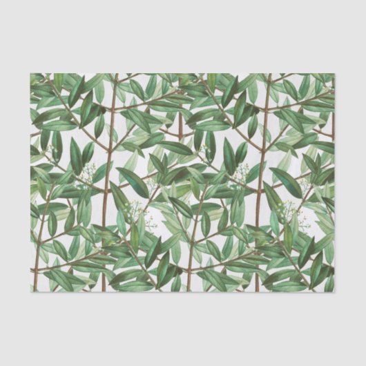 Papier Mousseline Aquarelle botanique de feuillage vert (Recto)