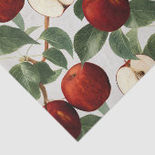 Papier Mousseline Aquarelle botanique vintage de pommes rouges (Détail)