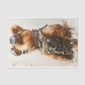Papier Mousseline Aquarelle Brown Bear Cub Explorer CE1 Découpage (Recto)