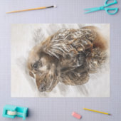 Papier Mousseline Aquarelle Cocker Spaniel Chien (Artisanat)
